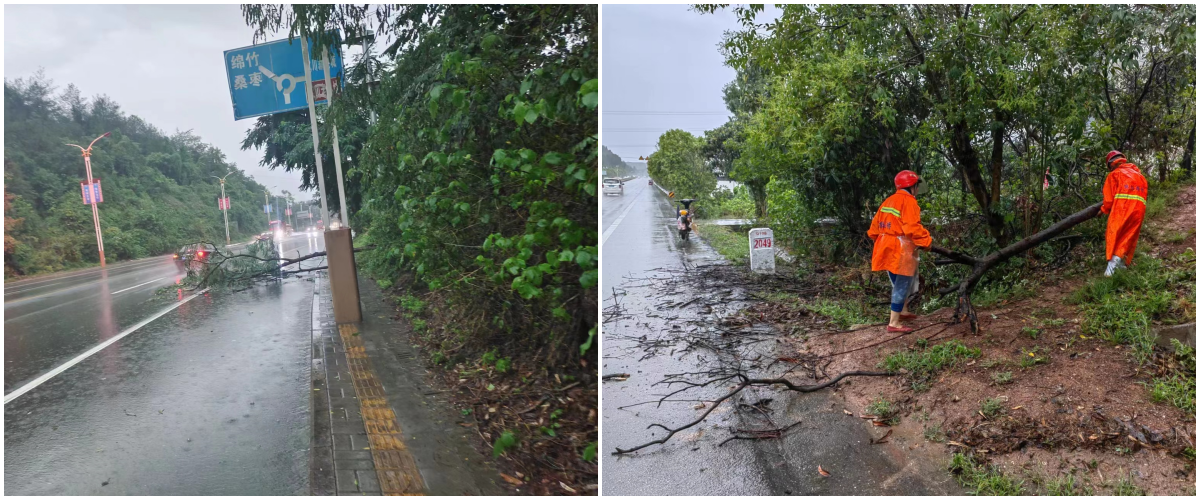 管養路段永安路、綿梓路.png